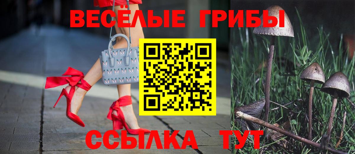 Псилоцибиновые грибы мицелий  сколько стоит  Вход с VPN  Десногорск  Галлюциногенные грибы Psilocybe 